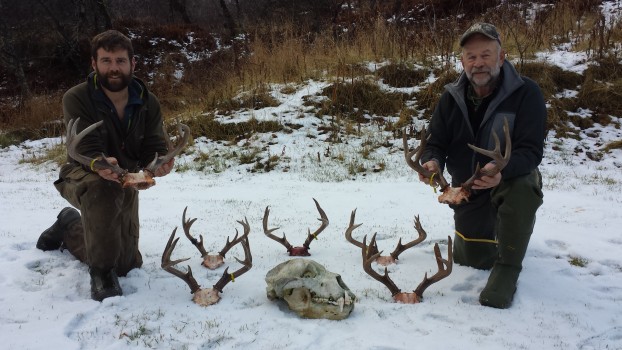 2015 Fall Season